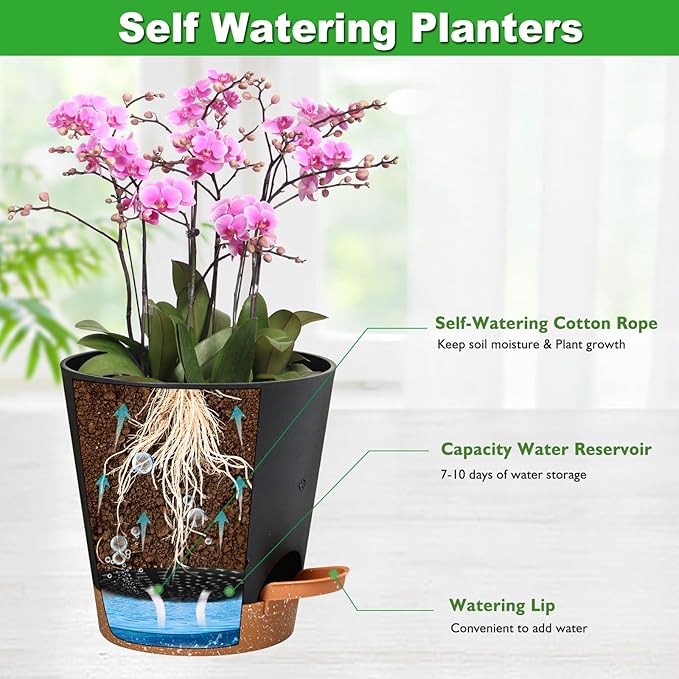 Orchid Pots with Holes, 6 Inch Self Watering Orchid Pot 2 Pack Plastic Plant Pots for Orchid, Flower (Black+Brown) Vanslogreen