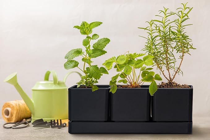 D'vine Dev Herb Garden Planter Set, Plastic Plant Pots with Drainage and Saucer, Indoor Succulent Cactus Vegetable Pot for Windowsill, Garden Balcony, Black, Set of 1, 76-V-B-1 DvineDevPlanterPotsandStand