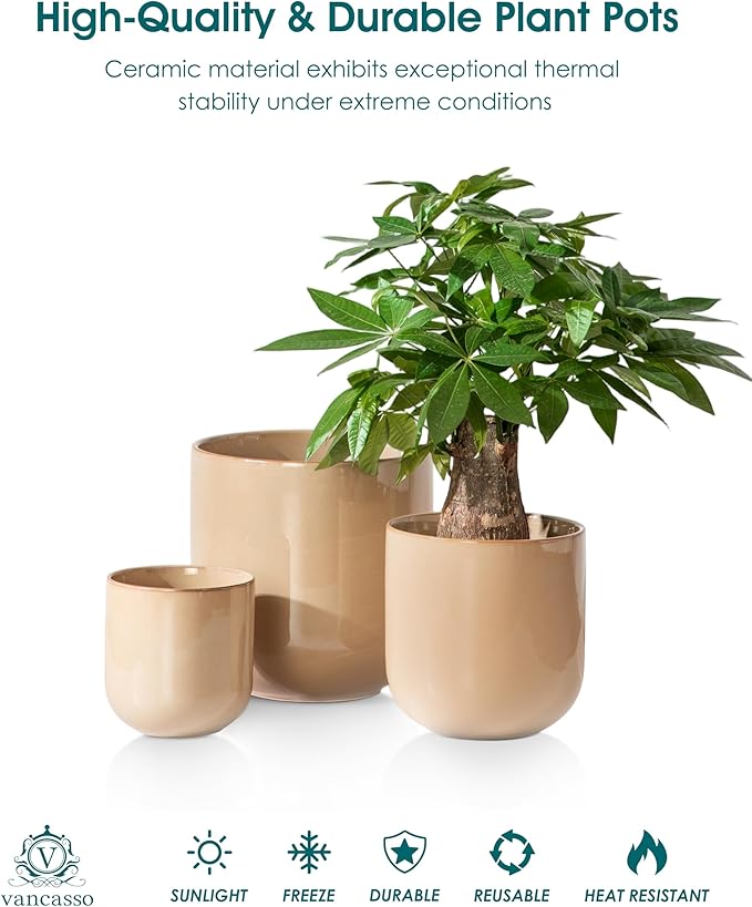 vancasso 6+8+10 inches Ceramic Plant Pots, Set of 3, Planters with Drainage Hole, Flower Pots Planters Pots for Indoor Plants, Modern Indoor Decorative Garden Pot, Home Decor, Brown vancasso