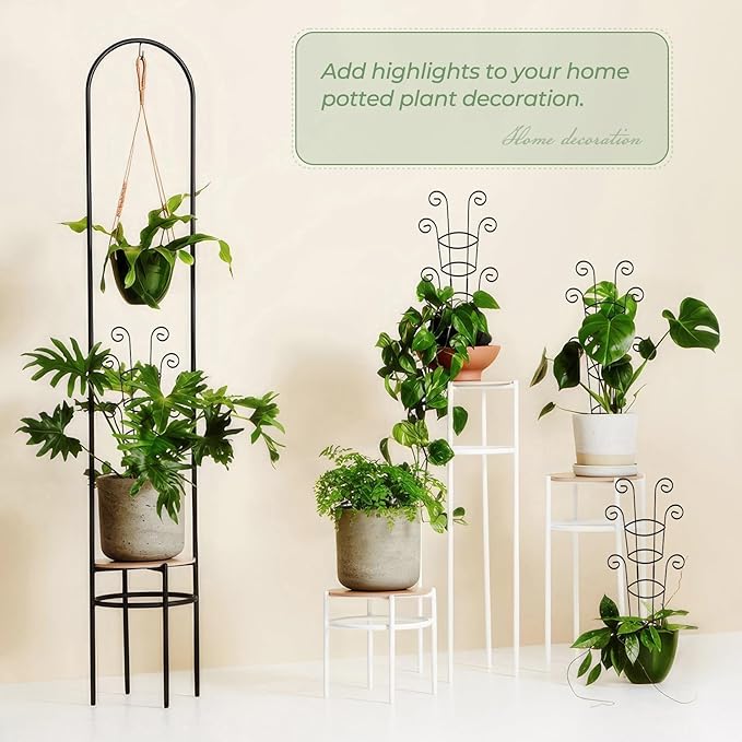 4 Pack 30 Inch Tall Metal Plant Trellis for Climbing Plants Indoor - Rustproof Garden Trellis for Potted Houseplants, Sturdy Support for Ivy, Pothos, Monstera, Hoya & Flower Vines Qiaokaiyan