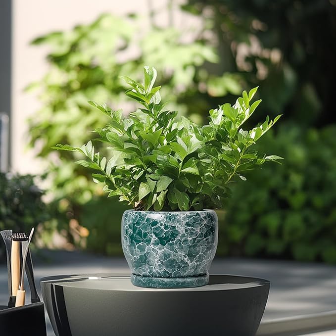 SQOWL Ceramic Pot for Plants - 6 Inch Ceramic Planter with Drainage Hole and Saucer, Round Flower Pot for Indoor Outdoor, Decorative Small Planter, Room Home Decor, Plant Lover Gifts, Green SQOWL