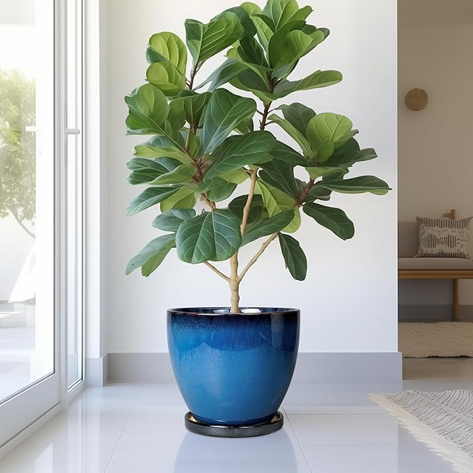 Ceramic Pots for Plants - 10 Inch Planter for Indoor Ourdoor Plants Modern Large Flower Pot with Drainage Hole and Saucer Room Home Office Garden Patio Porch Decor Blue EPFamily