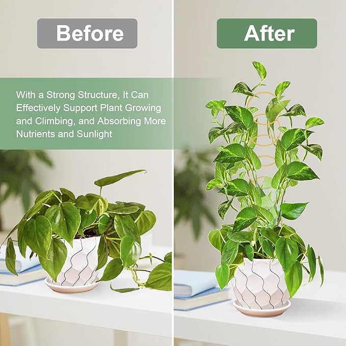 17.5 Inch Indoor Plant Trellis for Climbing Plants,Metal Trellis,Small Garden Trellis for Potted Plants,Plant Stakes for Indoor Plants Accessories Hoya,Flower,Plant Support (Golden-Metal) OYOEETD
