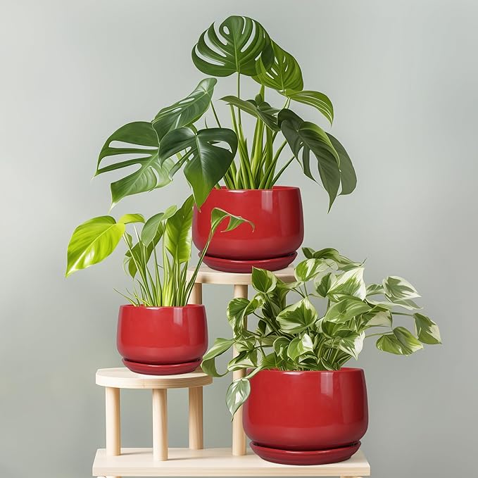 G EPGardening Ceramic Pot for Plants - 6 Inch Plant Pot with Drainage and Ceramic Tray, Modern Living Room Decor, Planter for Housewarming Gifts New Home, Red GEPGardening