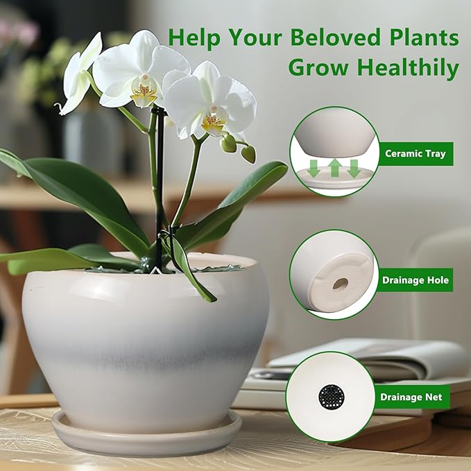 10 Inch Ceramic Planter Pot - Large Plant Pot with Drainage Hole and Saucer Round Flower Pot for Indoor Plants, White Ceramicfor