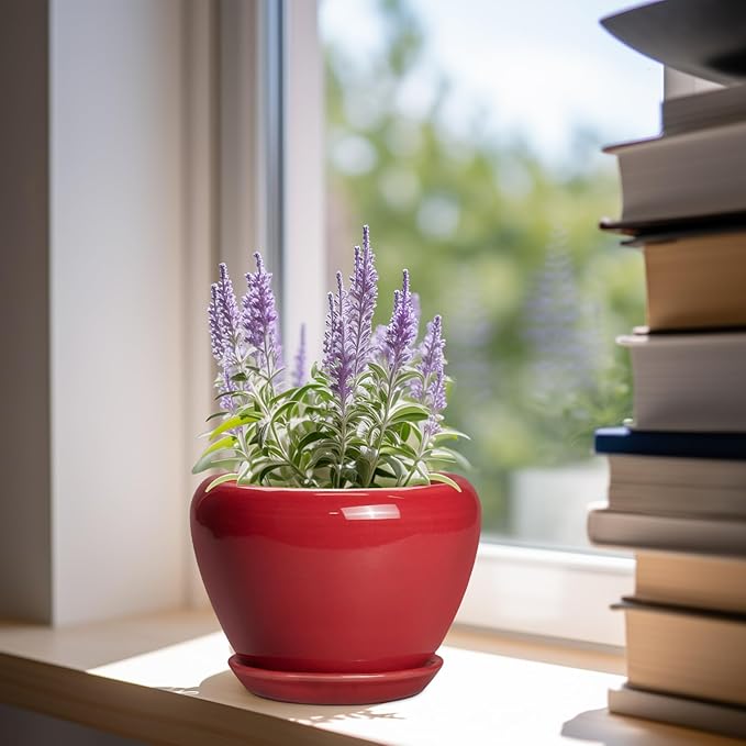6 Inch Plant Pot - Glaze Modern Ceramic Planter for Indoor Plants, Succulent Pot with Drainage Hole and Saucer, Office Garden Home Decor, Housewarming Gift, Red Ceramicfor