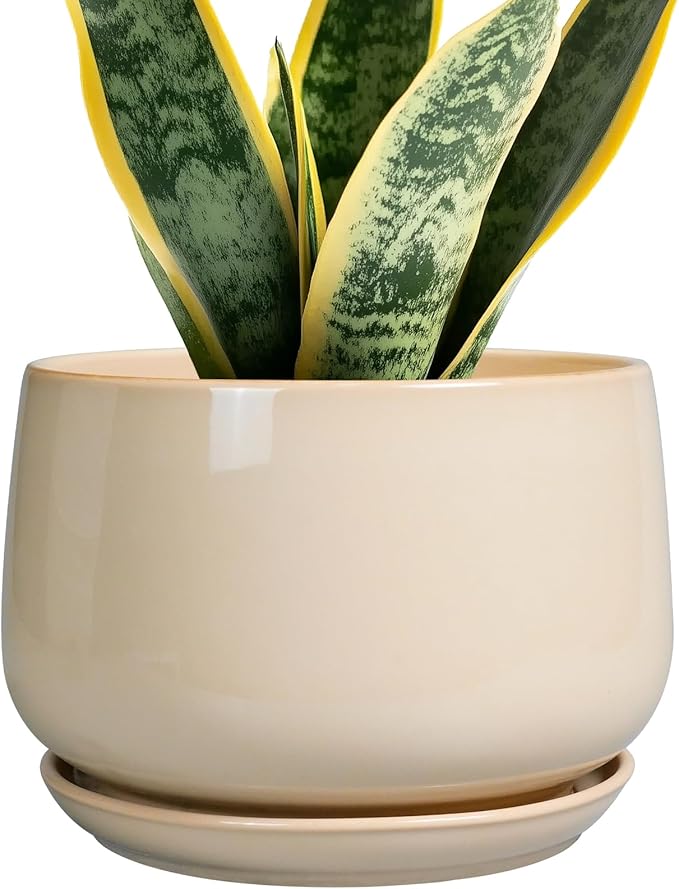 G EPGardening Ceramic Planter - 7 Inch Plant Pots with Drainage and Ceramic Tray, Flower Pots for Indoor Plants, Round Outdoor Planter, Room Decor, Gifts for Plant Lovers, Beige GEPGardening