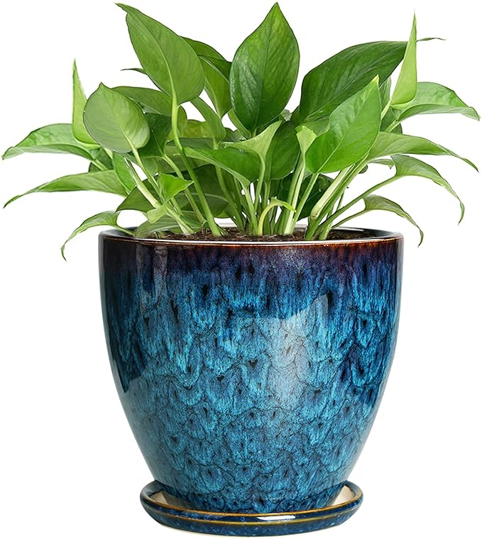 Ceramic Plant Pot, 6.3 Inch Ceramic Planter Pot with Drainage Hole and Saucer, Succulent Round Flower Pot for Indoor Plants Outdoor, Blue EPFamily