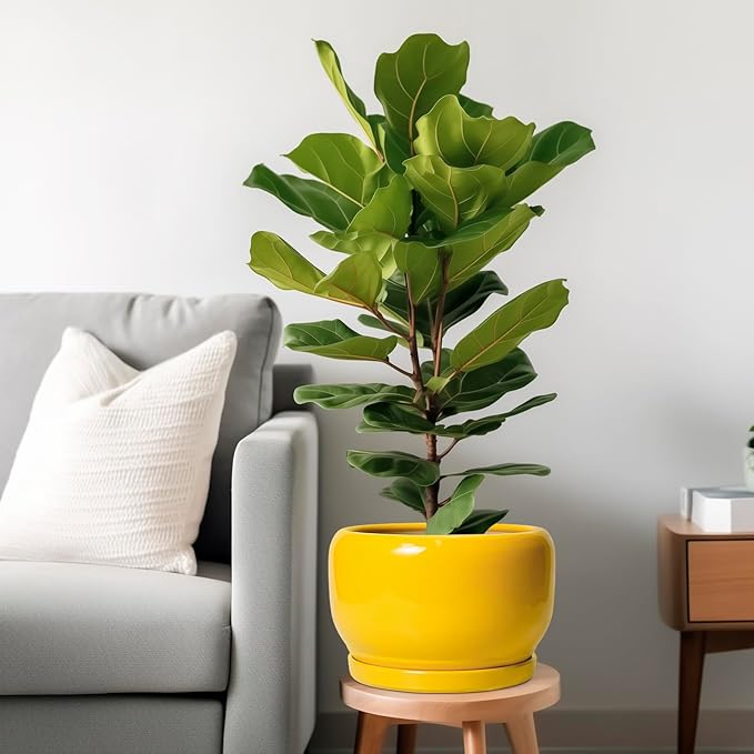 SQOWL 10 Inch Plant Pot - Ceramic Planter with Drainage Hole and Saucer, Modern Large Flower Pot for Indoor Outdoor Plants, Decorative Round Planter, Home Decor, Gifts for Gardeners Woman, Yellow SQOWL