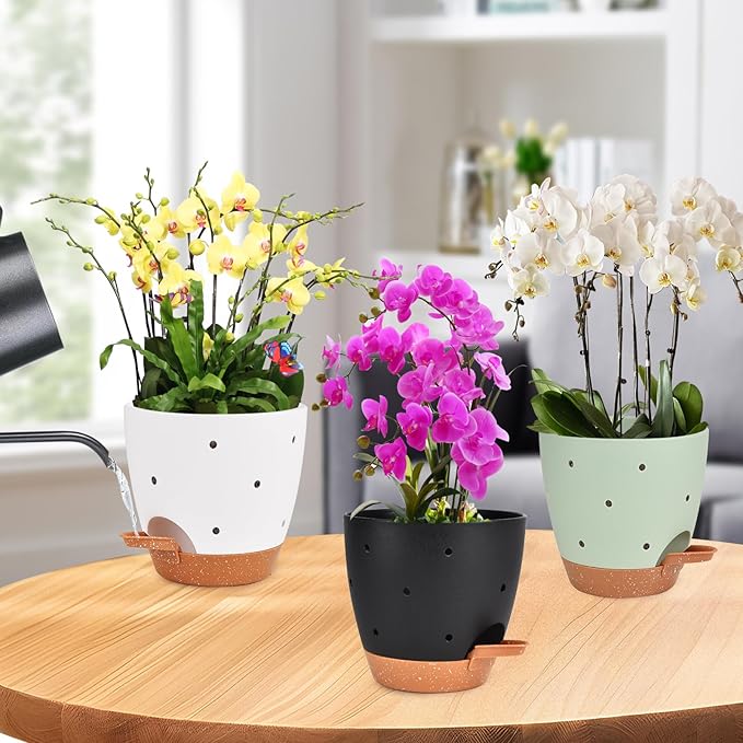 6 Inch Orchid Pots with Holes, 3 Pack Self Watering Planters for Orchids Plastic Orchid Pot Plant Flower Pots for Orchids Indoor Outdoor (Multicolor) Vanslogreen