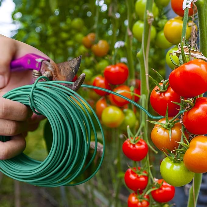 YDSL 100 Feet Soft Tie for Plants, 3 Pack Green Twist Garden Ties Gardening Supplies for Supporting Climbing Plants, Tomatoes, Vegetables, (Diameter - 2.5MM) YDSL