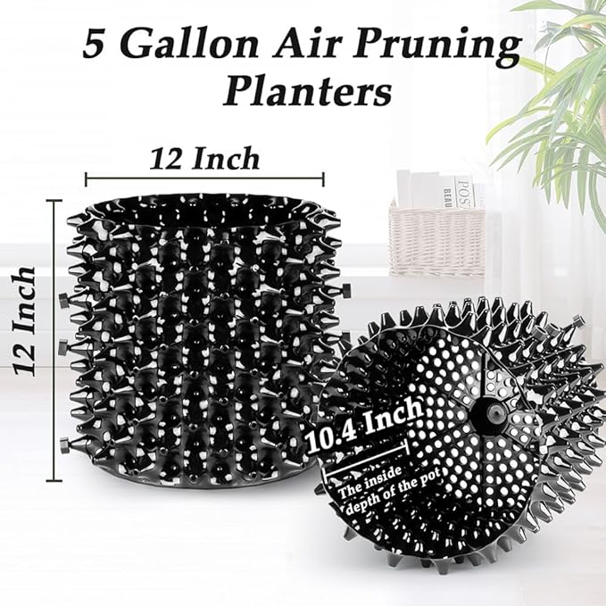 Air Pruning Planters 5 Gallon 6-Pack, Sturdy Plastic Roots Control Planter Container for Fruit Vegetable Garden Orchard, Size 12"x12",Black RooTrimmer
