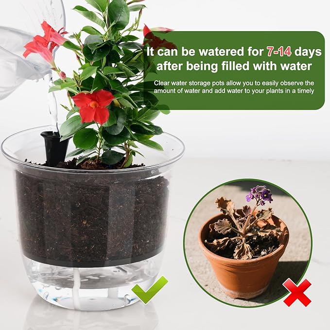 Plant Pots 6 inch Set of 3, Self Watering Pots for Indoor Outdoor Plants Flowers, Self Watering Planters with Reservoir, Drainage Hole and Absorbent Cotton Rope (3 Large) IWNTWY