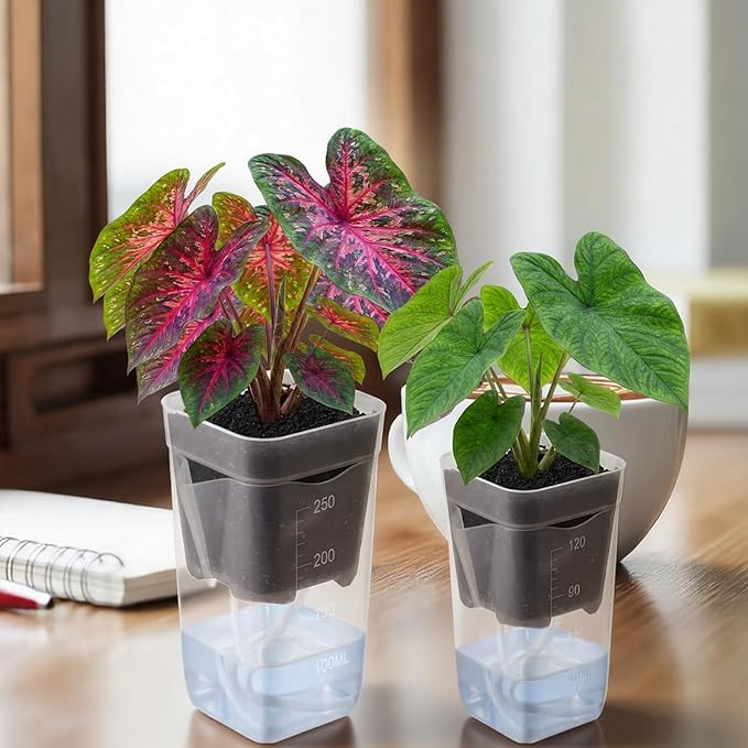 LemonRoad 20 Pack 2" and 2.5" Small Self Watering Pots for Indoor Plants with 20 Plant Label Mini Clear Plastic Planters with Water Level and Drainage Hole for Propagation, Succulents, African Violet Rootora