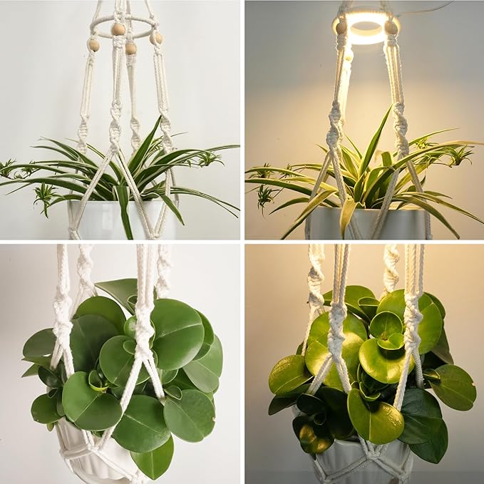 Macrame Plant Hanger with Grow Light: 2 Pack Sturdy Hanging Planters for Indoor Plants, Cute Plant Holder with Plant Light, Perfect for Different Size Pots (Daylight Spectrum) Rootora