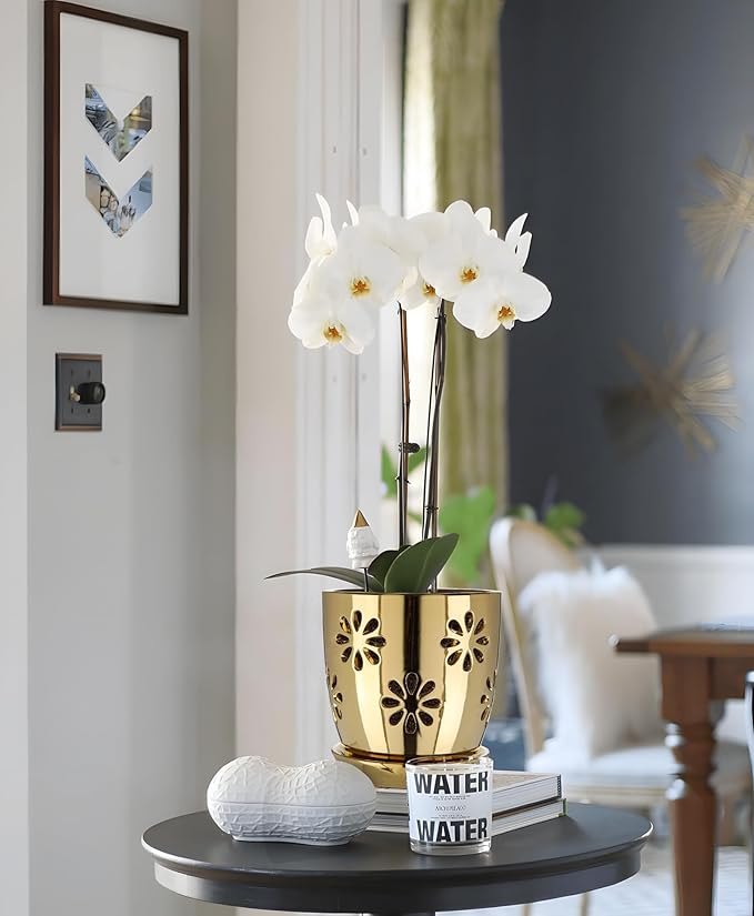 Oairse 6 inch Orchid Pots with Holes, Gold Ceramic Orchid Pot for Repotting Small Indoor Plant Pots with Drainage Holes and Saucers Decorative Flower Planter for Orchids, Indoor Plant Oairse