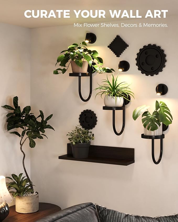 Bamworld Wall Decor Plant Stand with Lights Wall Art Planters Window Plant Hanger Indoor Hanging Planters for Indoor Plants for Living Room Black Bamworld