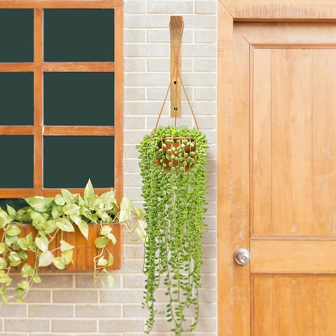 Wooden Plant Hangers - Hanging Plant Hooks for Indoor Outdoor, Wood Hanging Wall Plant Hooks Heavy Duty for Flower Pots Wind Chimes and Bird Feeders(2-Pack,8-Inch) DSJIFGEW