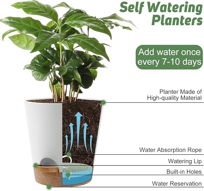 8-Inch Plant Pots, Self-Watering Planters with Drainage Holes & Saucers for Indoor and Outdoor Plants (2-Pack, White) AFamilyofGardenLovers