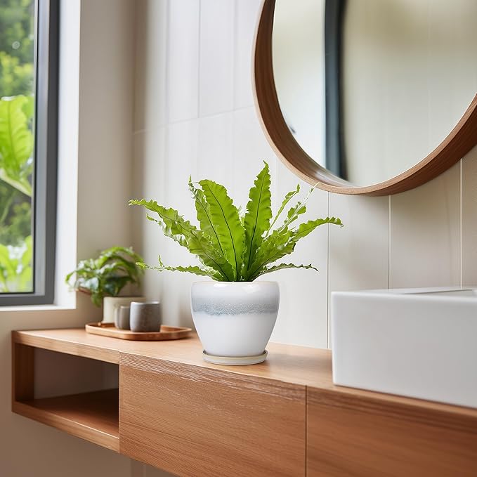 Ceramic Plant Pot - 6 Inch Ceramic Pots for Indoor Outdoor Plants, Decorative Planter with Drainage Hole and Saucer, Modern Plant Pots, Bedroom Room Decor, Plant Lover Gifts, White-Grey EPFamily