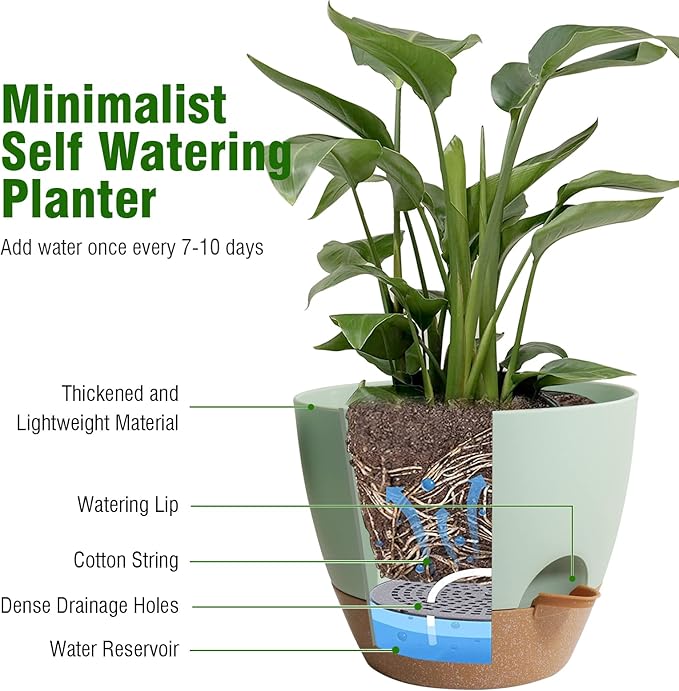 8 inch Self Watering Pots, 2 Pack Plastic Planters with Mesh Drainage Holes for Garden Plants and Flower, Plants Pots with Deep Reservoir for Indoor Outdoor Plants, Green with Brown WSMKSZ