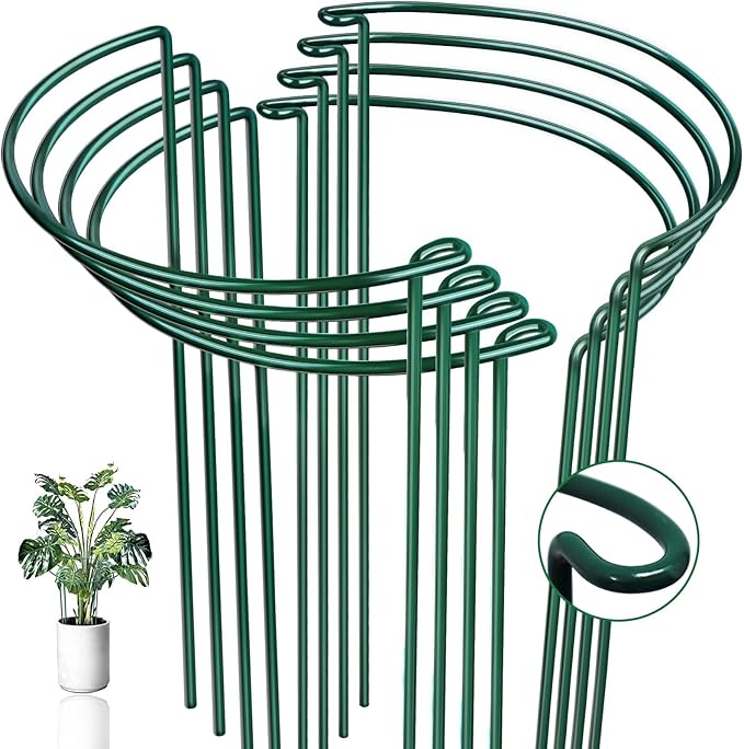 8 Pack Half Round Snake Plant Support Stakes Sets - Strong Plant Support and Cage, Durable Houseplant Stakes, Plant Support Ring for Indoor and Outdoor Plants, Such as Aloe, Peony, Hydrangea, ZZ WooWellGoGoGoProducts