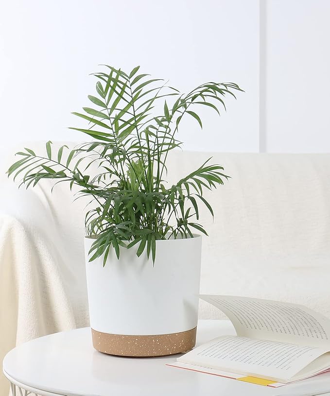 kubvici 2 Pack 8 Inch Planters for Indoor Plants, Plastic Flower Pots Plant Pots Indoor with Drainage Saucer for Outdoor Garden Home Plant, White 8” kubvici