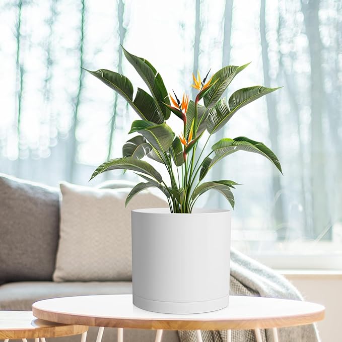 8 Inch Cylinder Plant Pots for Indoor Outdoor Plants, Medium Deep Flower Pots with Drainage Holes & Saucer, Decorative Plastic Planter Pots for Garden House Plants, White WSMKSZ