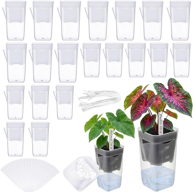 LemonRoad 20 Pack 2" and 2.5" Small Self Watering Pots for Indoor Plants with 20 Plant Label Mini Clear Plastic Planters with Water Level and Drainage Hole for Propagation, Succulents, African Violet Rootora