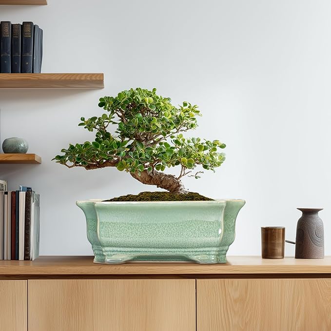 Bonsai Pots - 13.7 Inch Rectangle Ceramic Pots for Plants, Large Succulent Planter with Drainage Hole, Decorative Planters for Indoor Outdoor, Garden House Decor, Housewarming Gifts, Green Teagas