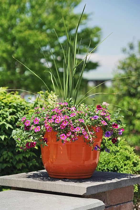 Garden Elements Indoor/Outdoor Glazed Brushed Happy Plastic Planter, Large, Bright Orange, 15" (Pack of 2) GardenElements