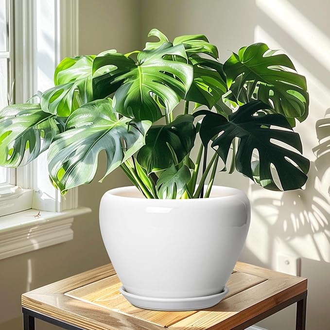 Ceramic Pot for Plants - 10 Inch Planter with Drainage Hole and Saucer, Glaze Modern Round Flower Pot for Indoor Plants, Housewarming Gift, Home Decor, White Ceramicfor
