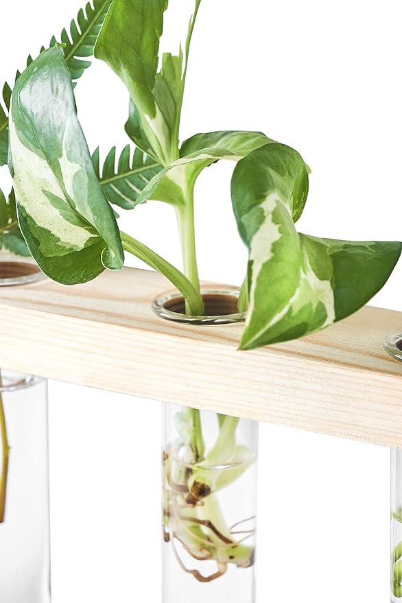 Mkono 3 Tiered Wall Hanging Plant Terrarium with Wooden Stand, Glass Planter for Hydroponic Plant Cutting, Home Garden Office Decor, Gift Mkono