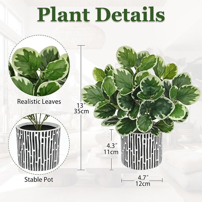 13" Artificial Plants Indoor Small Fake Plant in Ceramic Pot, Silk Plants for Home Decor Indoor, Faux Potted Plant for Shelves, Desks, Home, Room, Office, Bedroom, Farmhouse, Entryway, Tabletop Decor VillaComo