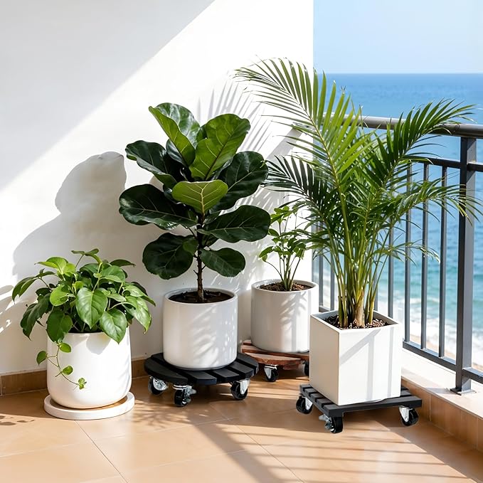 2 Pack Plant Stand with Wheels, Plant Caddies with 360° Lockable Smooth Sliding Wheels Durable Sturdy, Outdoor/Indoor Heavy Duty Rolling Plant Stand for Plant Pot,Flower Pot (11" Black Square) DecorateYourRoomwithCuffUpFarmhouseHomeDecor