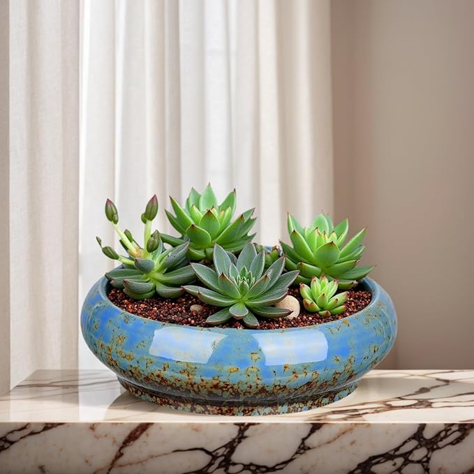 7.3 Inch Succulent Planters Pots Shallow Ceramic Glazed Planter Pots, Lotus Bowl Planter Round Shallow Planter Water Lily Pot for Indoor/Outdoor Plants Decorative (Blue) Rootora