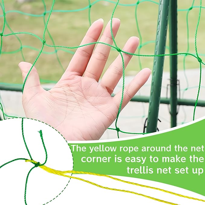 6.5x10FT Plant Trellis Netting,Garden Climbing Grow Net Heavy Duty Polyester Square Mesh Nets for Vining Plant,Tomato,Cucumber,Grape,Fruits,Vegetable Paradistar
