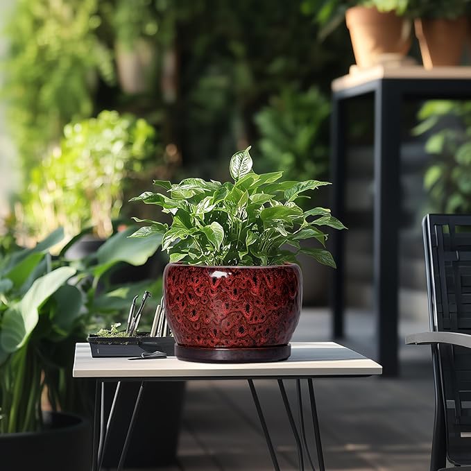 SQOWL Ceramic Plant Pots - 8 inch Planter with Drainage Hole and Tray, Round Ceramic Planter for Indoor Outdoor, Modern Decorative Flower Pot, Home Room House Decor, Plant Lovers Gifts, Red SQOWL