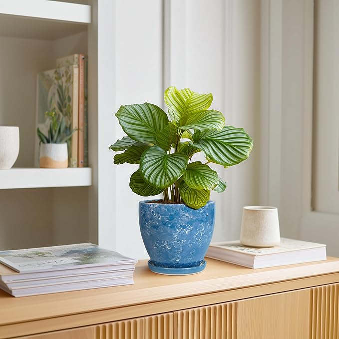 6 Inch Ceramic Plant Pot - Ceramic Planters with Drainage Hole and Saucer, Round Decorative Planter, Modern Planters for Indoor Outdoor Plants, Desk Office Decor, Housewarming Gifts, Blue EPFamily