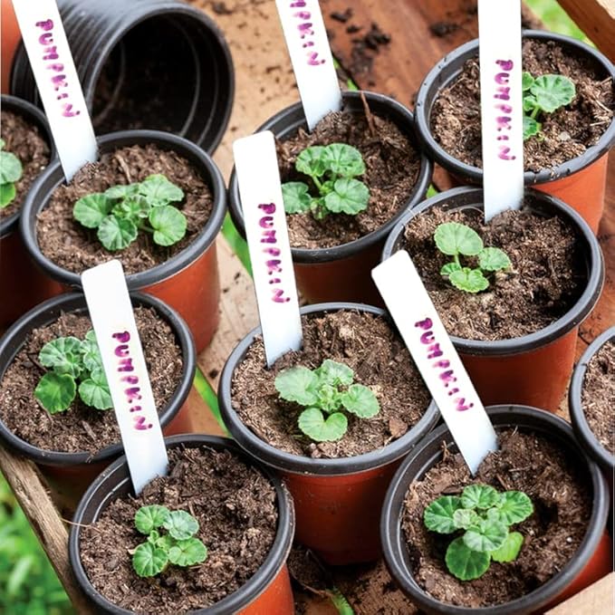 TDHDIKE 4" Small Plastic Plant Pots with 200 Red Seed Starting Pots for Indoor and Outdoor Planting TDHDIKE