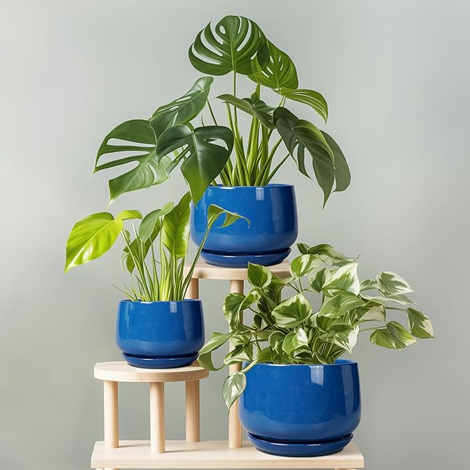 G EPGardening Ceramic Pots for Plants, 9 Inch Modern Round Planter with Drainage and Tray Indoor Outdoor for Flower, Patio Decor, Housewarming Gifts, Blue GEPGardening