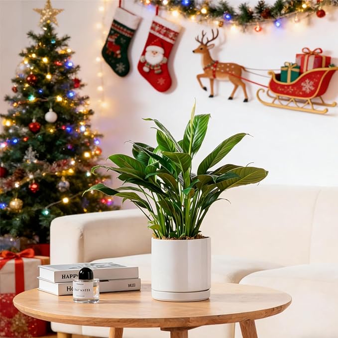 vancasso Ceramic Plant Pots, 3 Piece Planters for Indoor Plants, 4.25+5.25+6.25 Inch Flower Pots with Drainage, Plant Pots Indoor for Succulent, Pothos, Snake Plant and Money Tree, Etc (White) vancasso