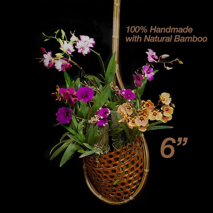 Handmade 100% Thai Bamboo Super Sanctuary Hanging Orchid Basket - 6 Inch Set of 2 Panwa