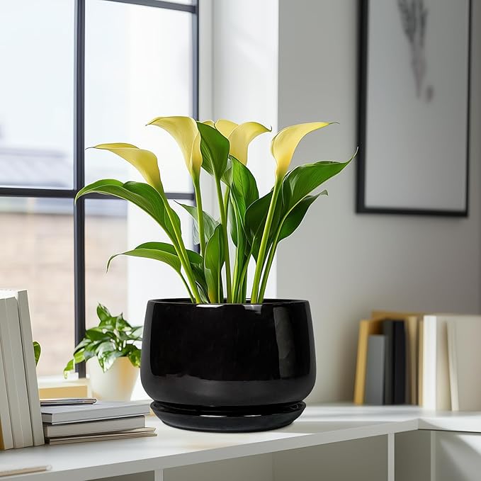 G EPGardening Ceramic Plant Pots - 9 Inch Round Planter, Ceramic Pots for Plants with Drainage and Tray, Flower Indoor Outdoor Planter, Modern Desk Decor, Plant Lover Gifts, Black GEPGardening
