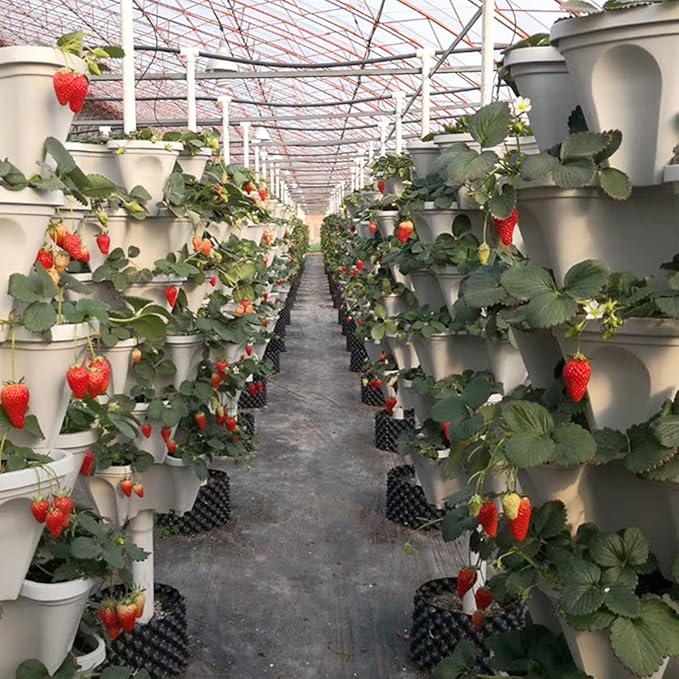Strawberry Vertical Planters 5 Tiered, Stacking Tower Garden, Stackable Herb Vegetable Planters with Movable Casters and Bottom Saucer Indoor and Outdoor - White Tectsia