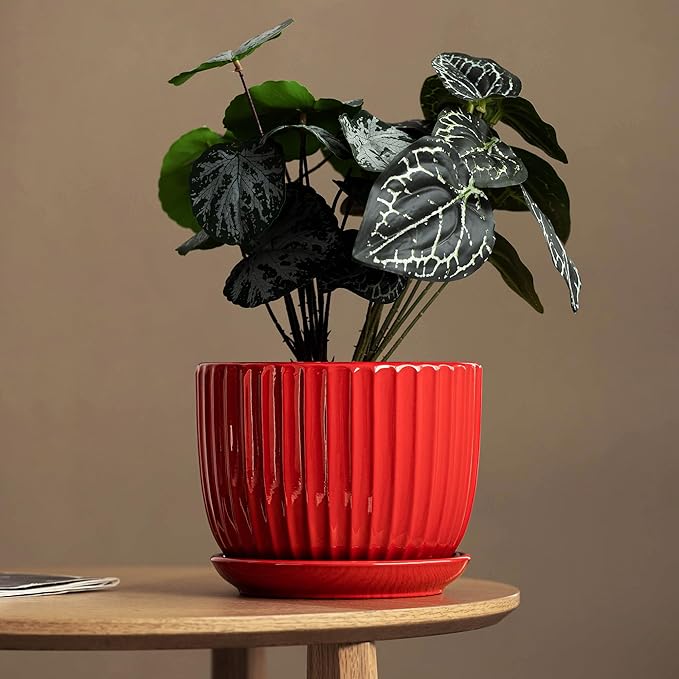 Ton Sin Ceramic Plant Pots - 4/5/6 Inch Red Planters Set of 3 with Drainage Holes and Saucer - Indoor Flower Pots for Plants Ceramic Planters for Indoor Gardening Succulent Pots TonSin