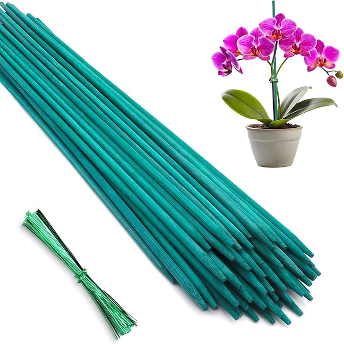 Bamboo Plant Stakes 50PCS, 18Inch Natural Bamboo Garden Stakes, Supports Indoor & Outdoor Plants, Straight Style, Green HAINANSTRY
