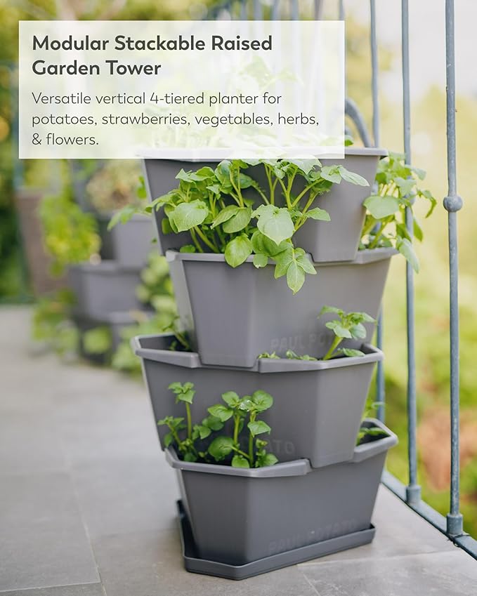 BUZZY Seeds Starter Stackable Vertical Planter – 4-Level Raised Garden Tower for Potatoes, Strawberries, Vegetables & Flowers (Gray) BUZZY