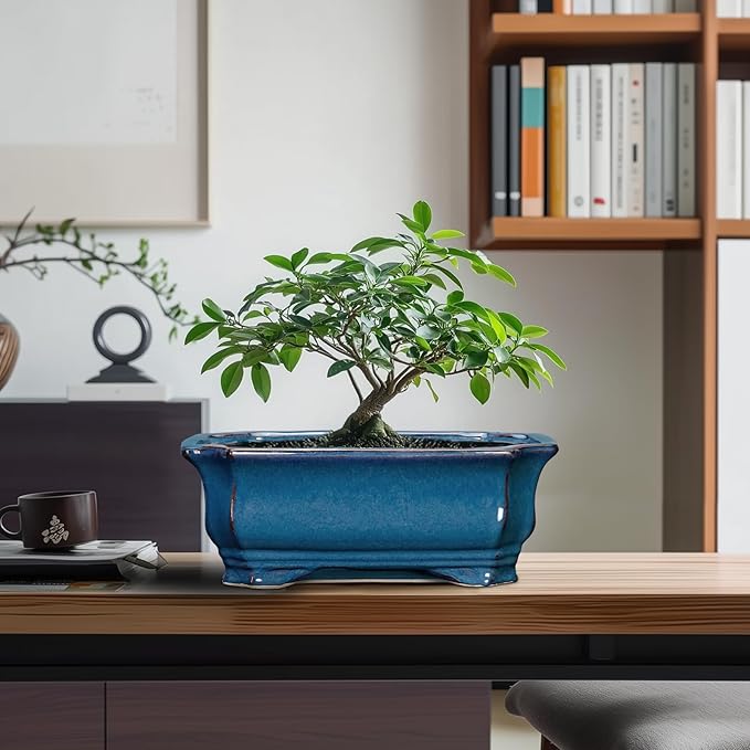 Bonsai Pots 11.6 Inch - Ceramic Succulent Pots with Drainage Hole, Rectangular Planter for Indoor Outdoor, Decorative Ceramic Flower Pot, Home Garden Room Decor, Plant Lover Gifts, Retro Blue Teagas