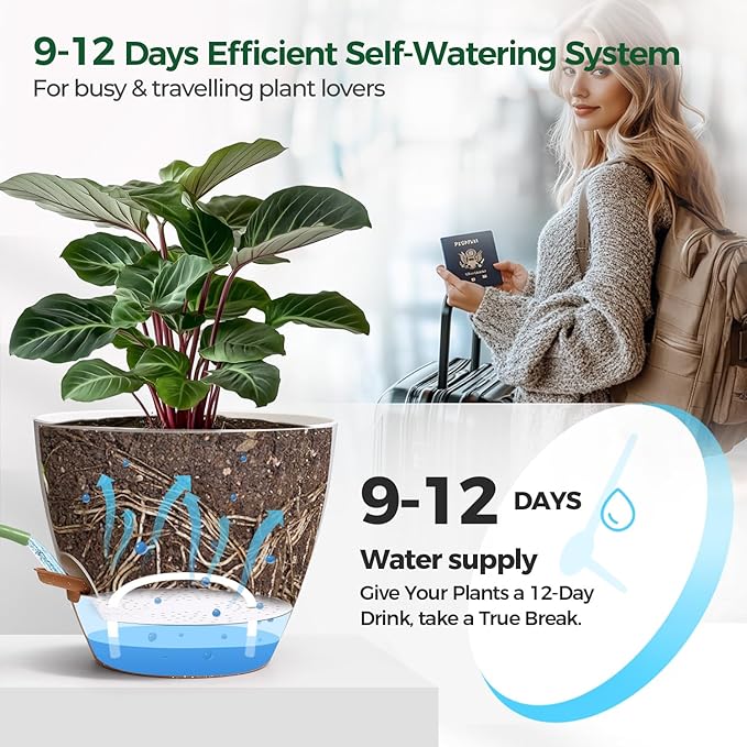 2 Pack 10 Inch Self Watering Pots - Water Level Indicator & Deep Reservoir, Mess-Free Planter for Busy People, Beginners & Gardeners, Fiddle Leaf Fig, Monstera, ZZ Plants, Indoor Outdoor Use (White) T4U
